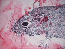 angela hughes artist australia brisbane